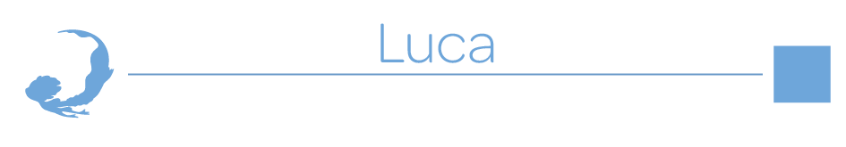 Luca